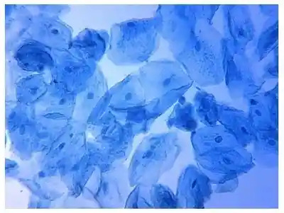 qtq_263-ezgif.com-webp-to-jpg-converter